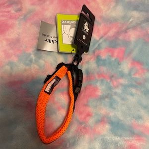 True love dog collar XS